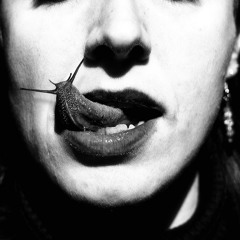 Thomas Brinkmann - N.M.Q.P.