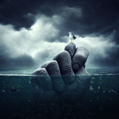 Pacific Bass Culture - the Storm (jason mcmillion remix)