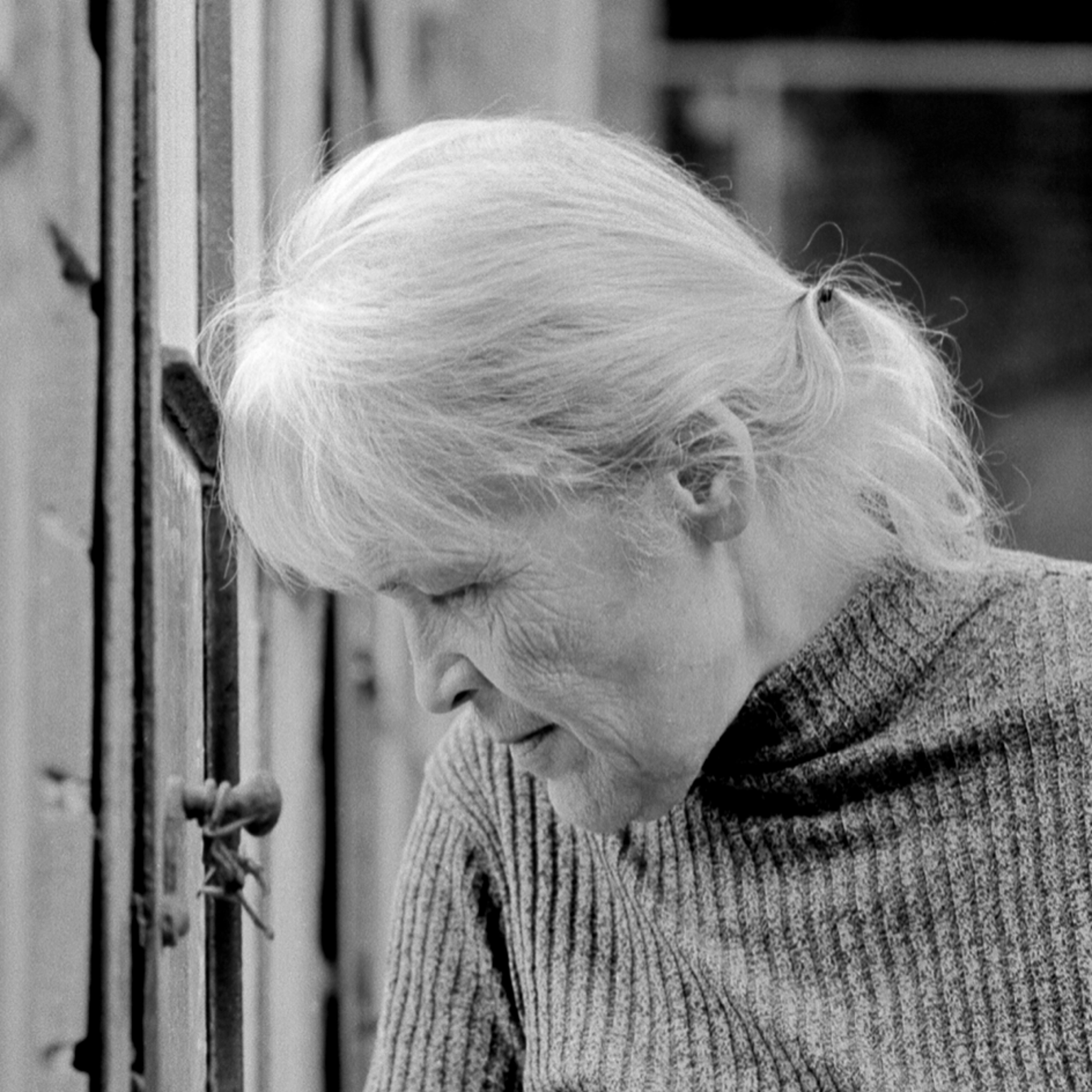 Modern Poetry in Translation