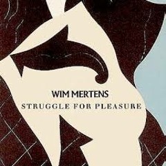 Witteredink Electronic Cover - Wim Mertens Struggle for Pleasure