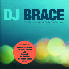 DJ Brace - NH24 (Mat The Alien Remix)