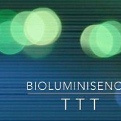 Bioluminiscencia