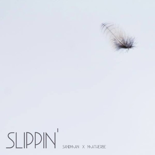 Slippn'