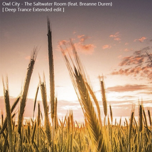 Owl City The Saltwater Room Deep Trance Extended Edit By