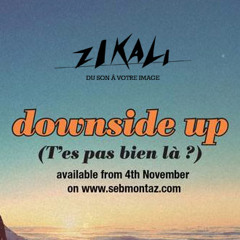 Les Courtes - T'es pas bien là ? OST