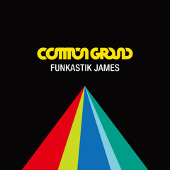 Common ground - Funkastic James (Glen Check Remix) [edited]