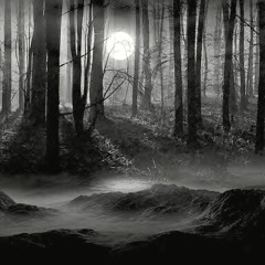 Entwined Hatreds (Remastered 2017*)