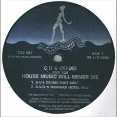 Glenn Underground - House Music Will Never Die