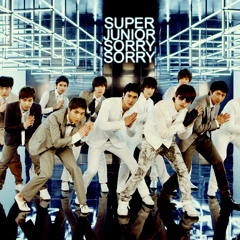 Super Junior 슈퍼주니어 SORRY, SORRY(쏘리 쏘리)