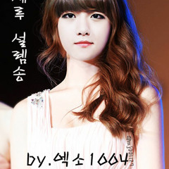 세루 설렘송 by.엑소1004