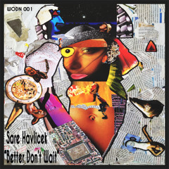 Sare Havlicek - Better Don't Wait (Wooden Dunes Records - Free Track)
