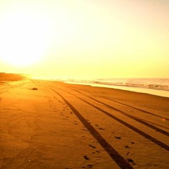 Golden Mornings (Original Mix) // Free Download