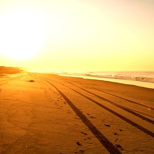 Golden Mornings (Original Mix) // Free Download