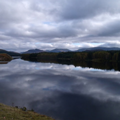 PIANO & INSTRUMENTAL