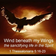 Wind Beneath My Wings