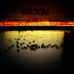 Gabriel D'Avino - Naaa! (Original Mix)