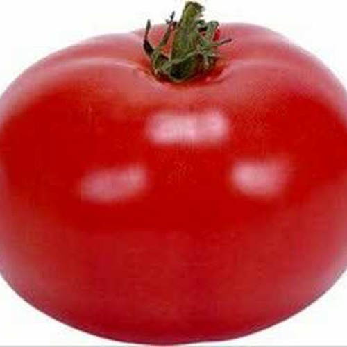 Tomatenplukkers (BUY = FREE DL)
