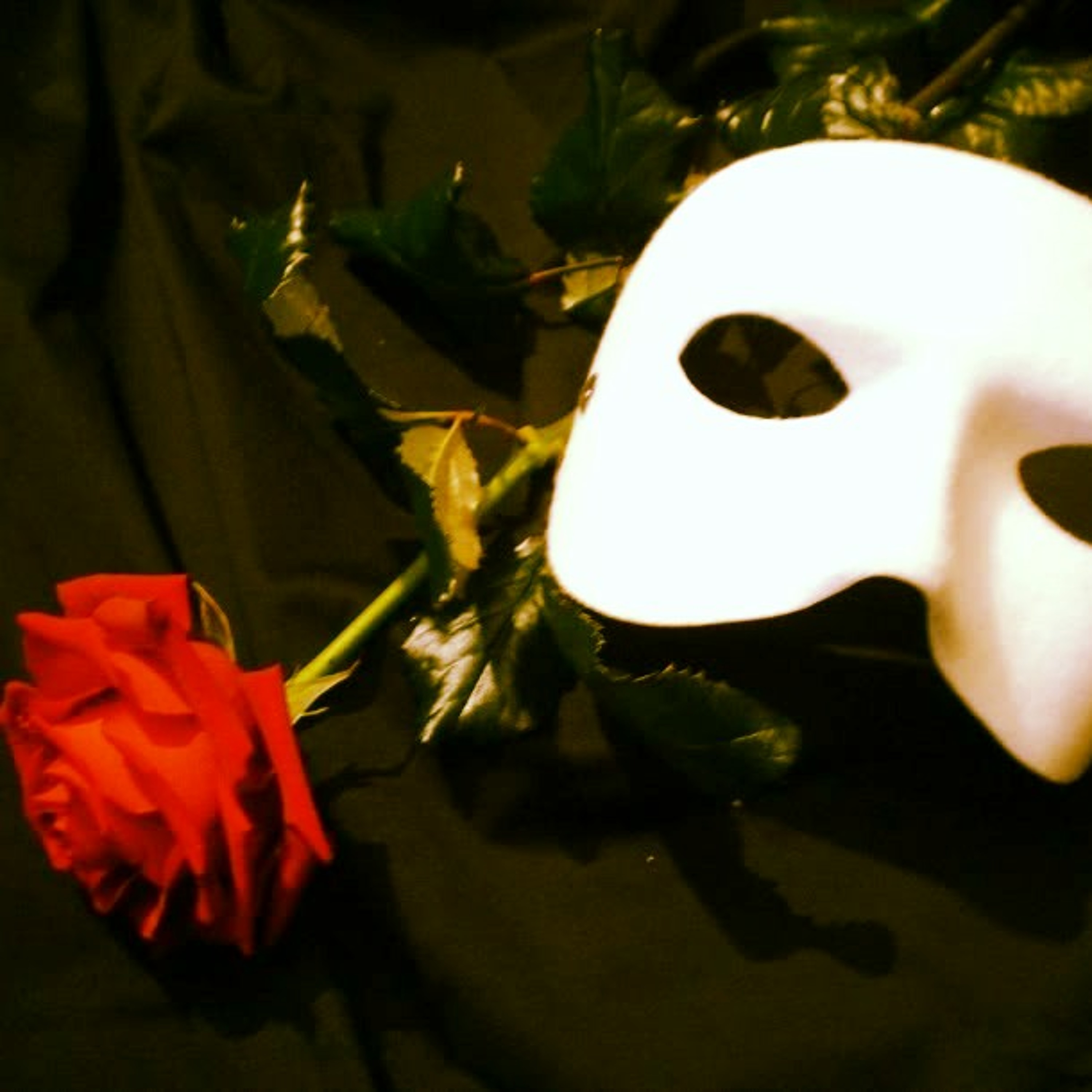 Tudo Que Se Quer (Fantasma da Ópera)