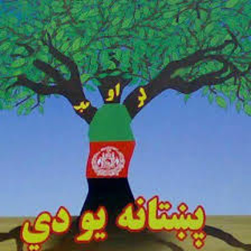 Afghan - Bashir Maidani