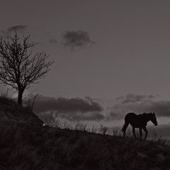 Хамэ Хэку- Khame Kheku - Instrumental