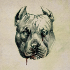 Teaser RAS KALB Remixed (Leila by Delay Engineering)