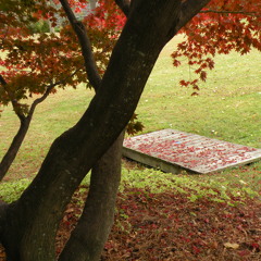Castle Made Of Leaves