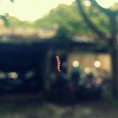 Keane - Somewhere Only Know