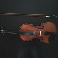 bernyanyi (violin)