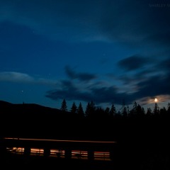 Vincenn November 013 Session #1 | Free Download