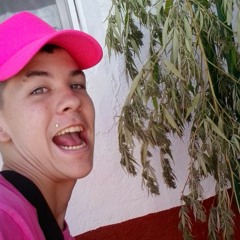 gordo master Malaga city