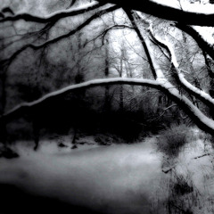 Where Dead Angels Lie (Dissection Cover)