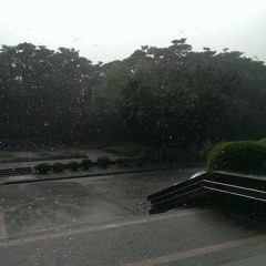 雨和眼淚 - 四分衛 Cover By Chester Yang