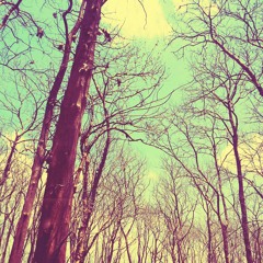 MIMPI(cover)-Anggun C Sasmi