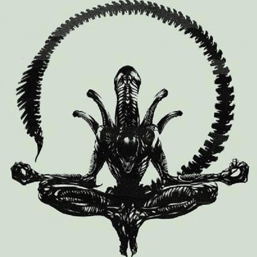 Triper - Pineal Experience