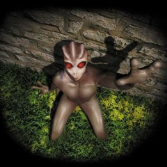 QUI C'EST CELUI LA ? (UKULELE BREIZH BAND)