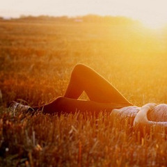 Pause หยุดที่เดิม