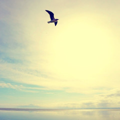 Forever We Will Be : Anan Ryoko feat. Kero One