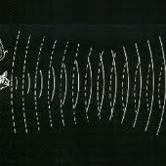 Biosonar - con Cathrinta