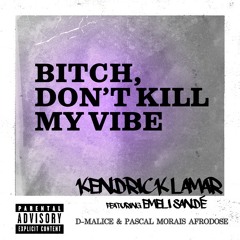 Kendrick Lamar ft Emili Sande - Bitch Don't Kill My Vibe (D-Malice & Pascal Morais' Afrodose)