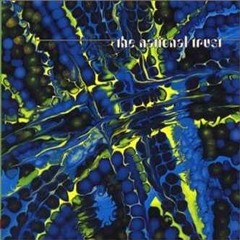 The National Trust - See No Evil (Thrill Jockey)