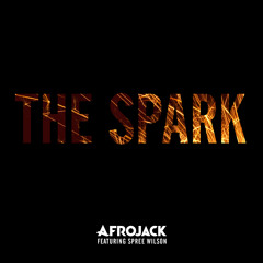 Afrojack vs Arguello - Groggy The Spark (Niels Chilss Mashup)