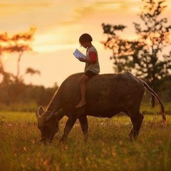 بَــادِر إلى حِــفظِ القُرآن || نبِــيل العَوضي  :)