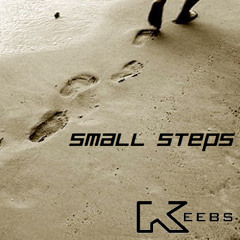 Small Steps (VIP Mix)