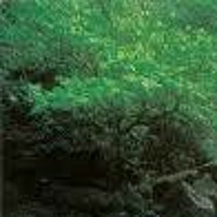 أذان بصوت عصام بخاري