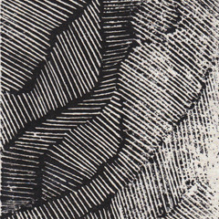 Cxnlk - Untitled (2008-2013) [OFFT001] Tape