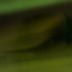 Kasyon Navigasyon [Trimensic Viewing Co.] *Released on HAZE netlabel*