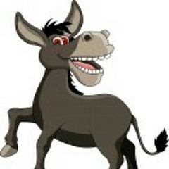 Mi Burrito - Bertin Gómez JR Y Su Condesa