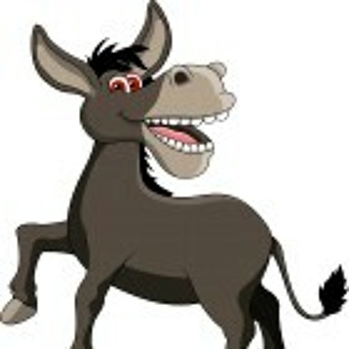 Mi Burrito - Bertin Gómez JR Y Su Condesa