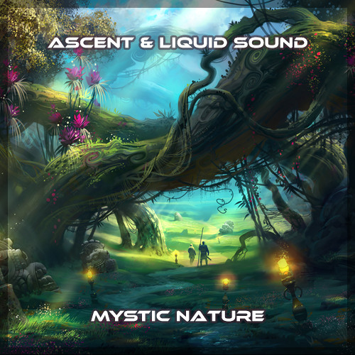 Ascent & Liquid Sound - Mystic Nature (134) Preview