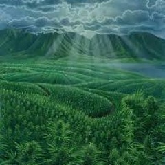 Paradise Ken Freestyle ( Pro. Banks & Blac )